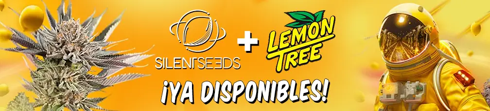 Lemon Tree + Silent Seeds